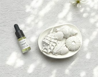 Shells aroma stone diffuser made from natural plaster cast, aromatherapy, self care, gift