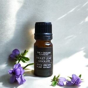 Könnte beinhalten: Eine kleine braune Glasflasche mit schwarzem Deckel, beschriftet mit "VIOLET LEAF ABSOLUTE" von Ink + Ocean Botanicals. Die Flasche ist von Zweigen mit violetten Blüten umgeben. Der Text "Viola Odorata PLANT EXTRACT" ist ebenfalls sichtbar.