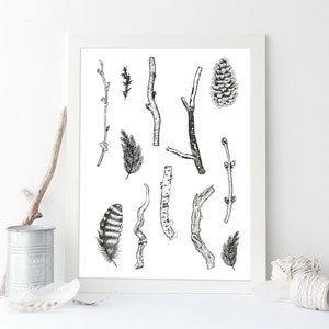 Può includere: Disegno in bianco e nero di vari elementi naturali, tra cui rami, ramoscelli, piume e una pigna.