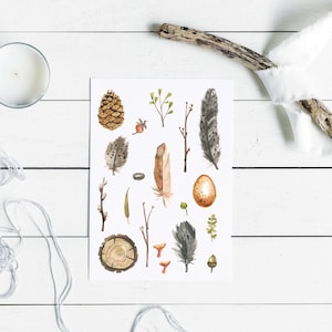 Può includere: Illustrazione ad acquerello con elementi naturali come piume, una pigna, un uovo e ramoscelli. L'opera utilizza tonalità della terra, con un tema rustico e organico. Sono presenti anche una candela e del legno alla deriva.