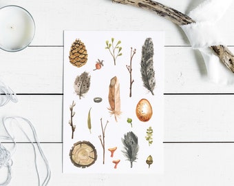 Botanical woodland walk found objects, tree ring, pine cone, feather, egg, nature study art print.