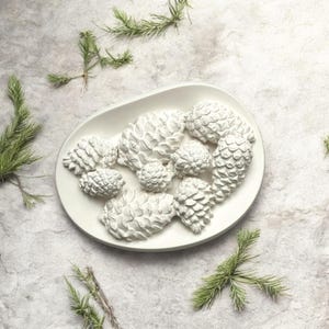 Op de afbeelding: Een witte ovale schaal gevuld met witte beschilderde dennenappels. De schaal staat op een wit, getextureerd oppervlak met verspreide groene dennentakken.