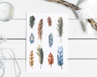 Botanical woodland walk found objects feather, nature study art print.