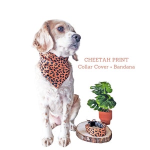 May include: A small dog wearing a brown and orange cheetah print bandana. The bandana is also available as a collar cover. The text "CHEETAH PRINT Collar Cover + Bandana" is displayed above the dog.