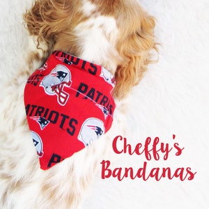 miller lite dog collar