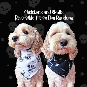 Halloween Skeletons and Skulls Reversible Tie On Dog Bandana by Cheffy and Co