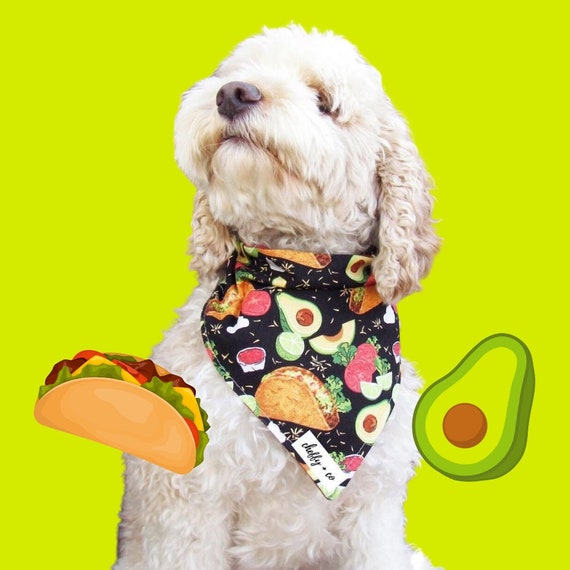 Taco hotsell dog bandana