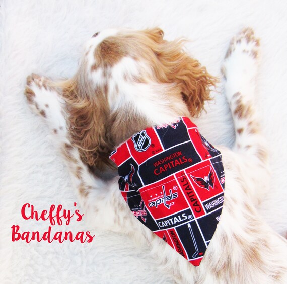 washington capitals dog jersey