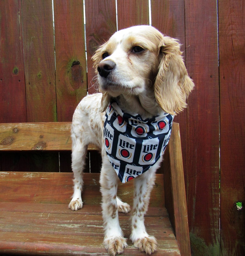Miller Lite Beer Can Beers on the Wall Slip on Dog Collar Etsy