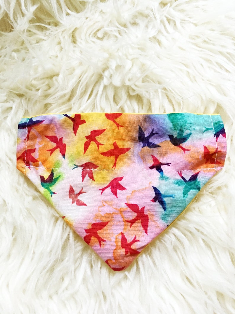 Watercolor Free Peace Bird Dog Collar Bandana