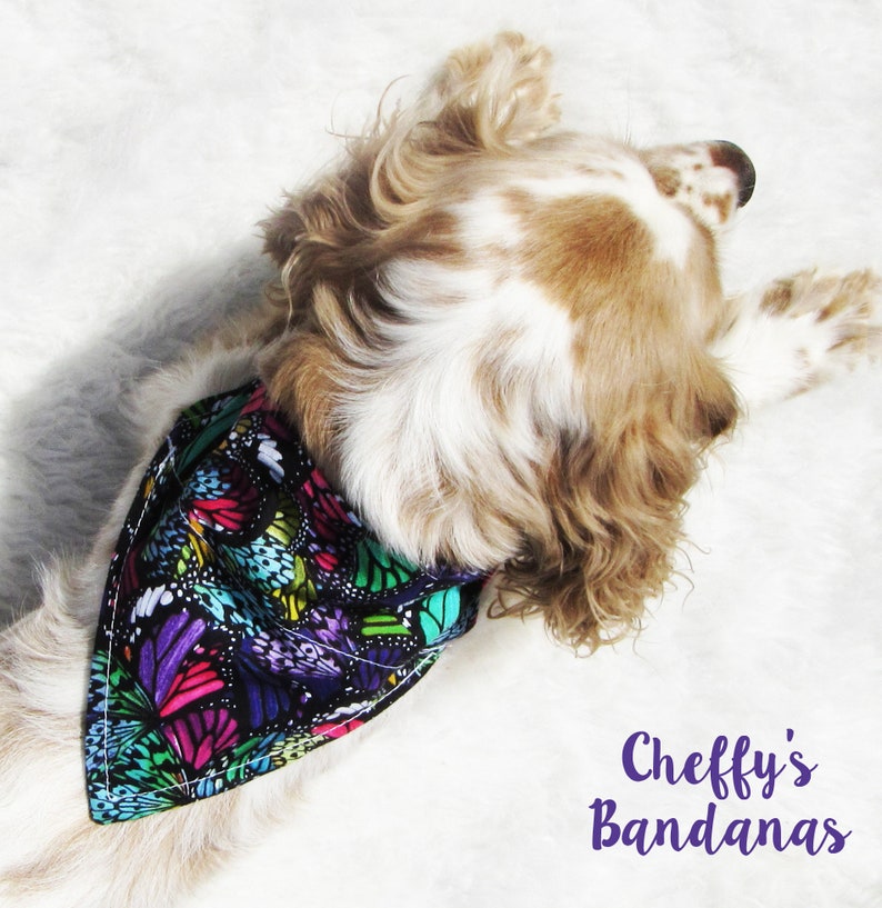 Colorful Abstract Butterfly Dog Collar Bandana