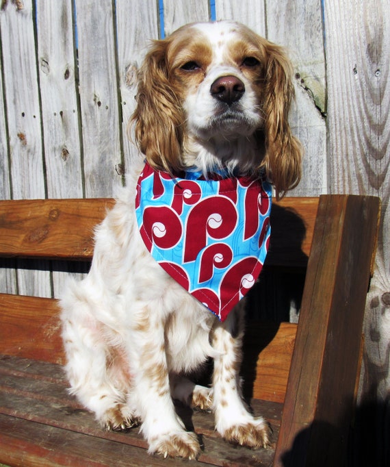 timed cat feeder walmart
