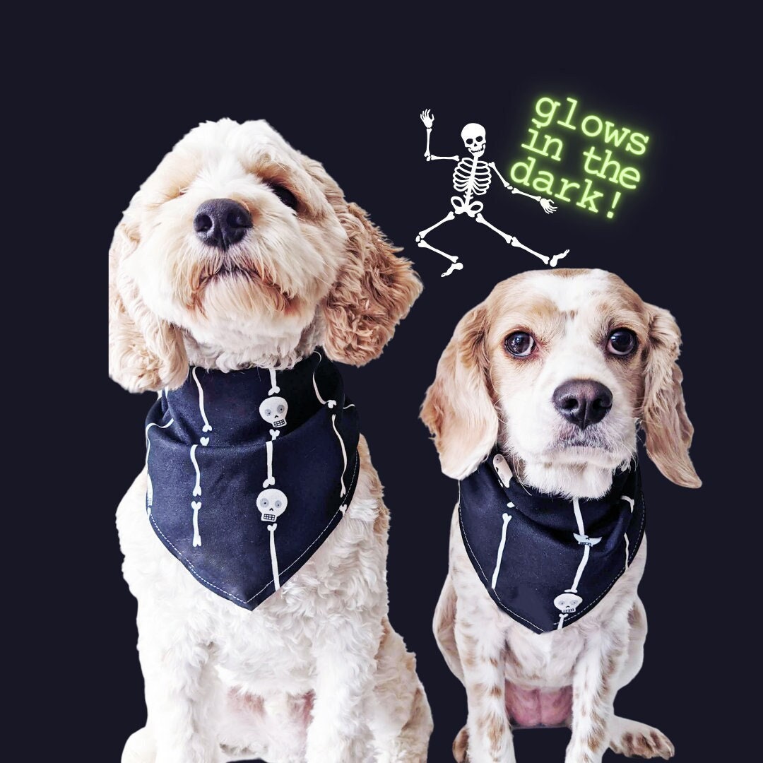Glow-in-Dark Skeleton Dog Pajamas - Halloween Pet Costume, Warm & Stretchy Jumpsuit For Small/Medium Dogs & Cats