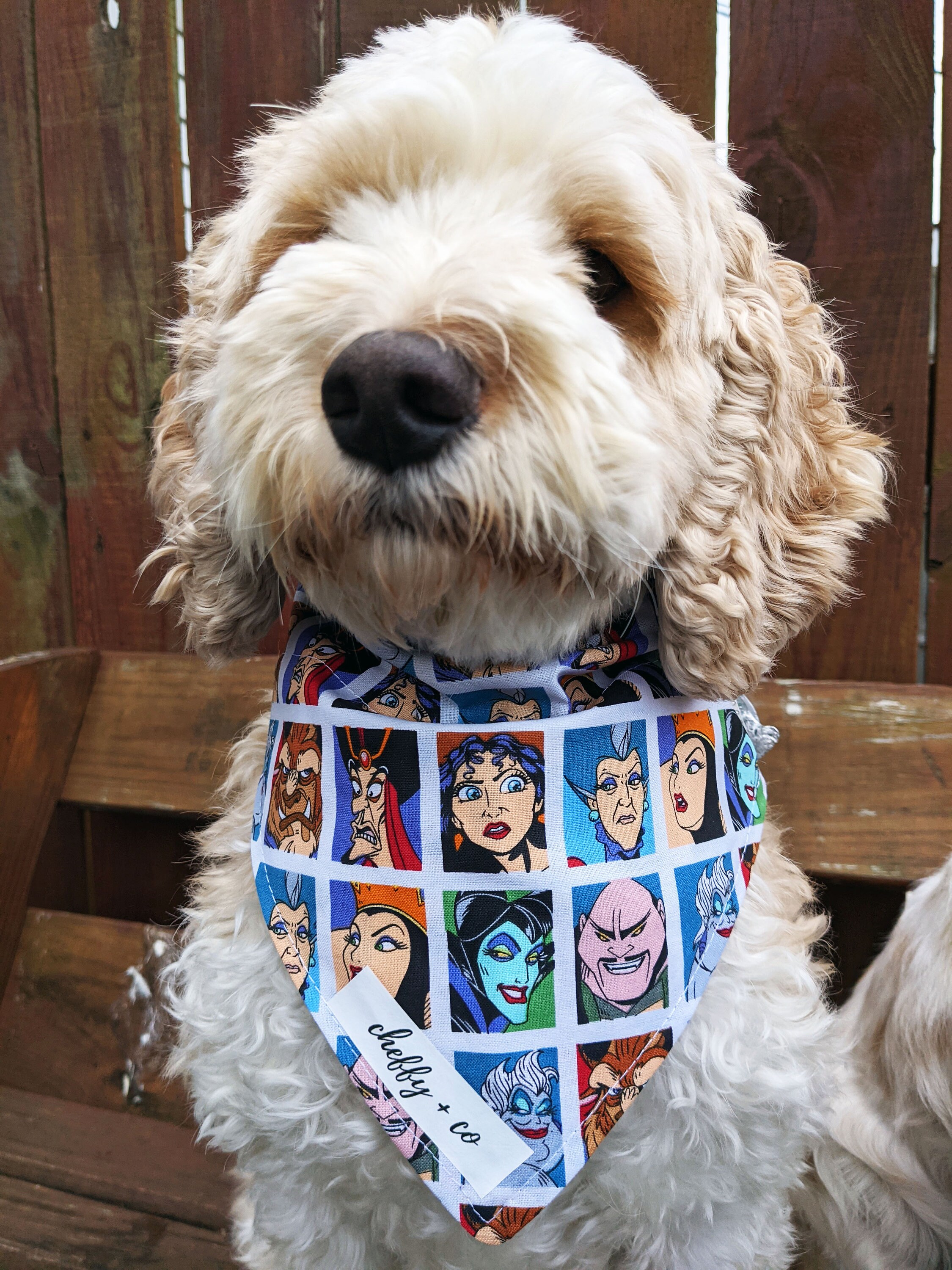 Reversible Disney Princess and Villain Slip On Dog Collar Etsy