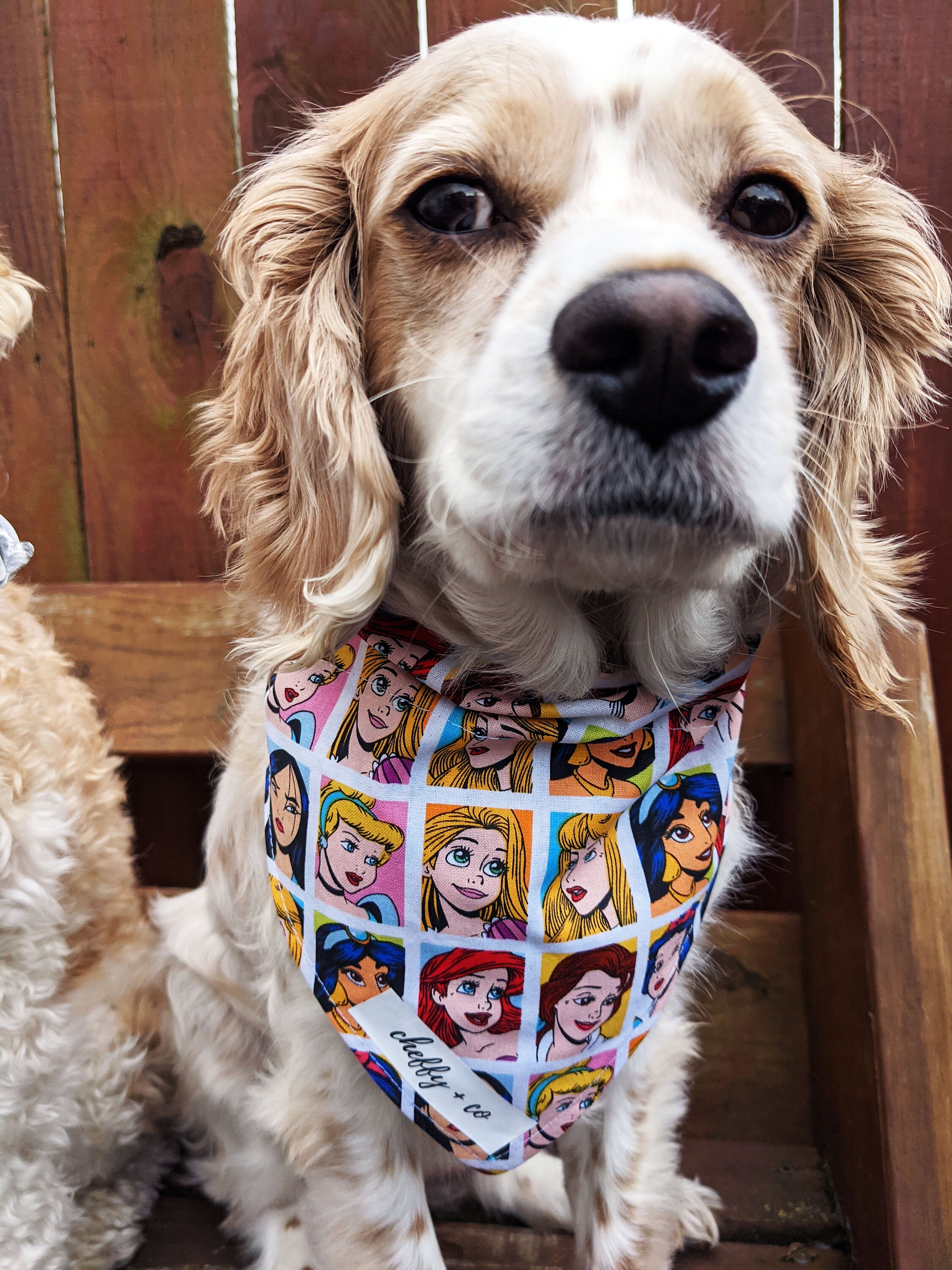 Reversible Disney Princess and Villain Slip On Dog Collar Etsy
