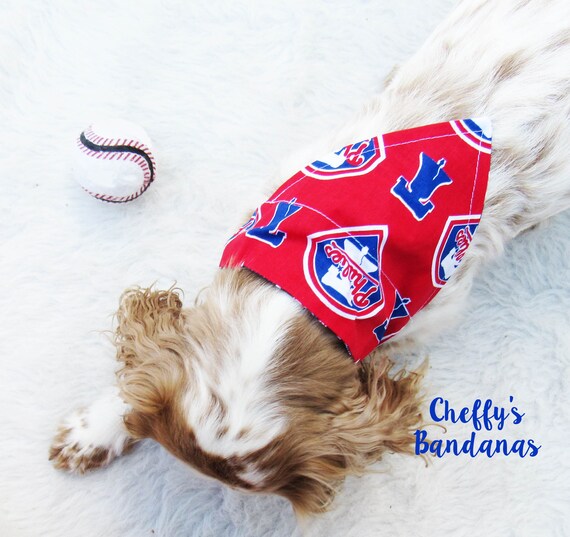 phillies dog jersey