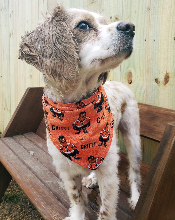 flyers dog jersey