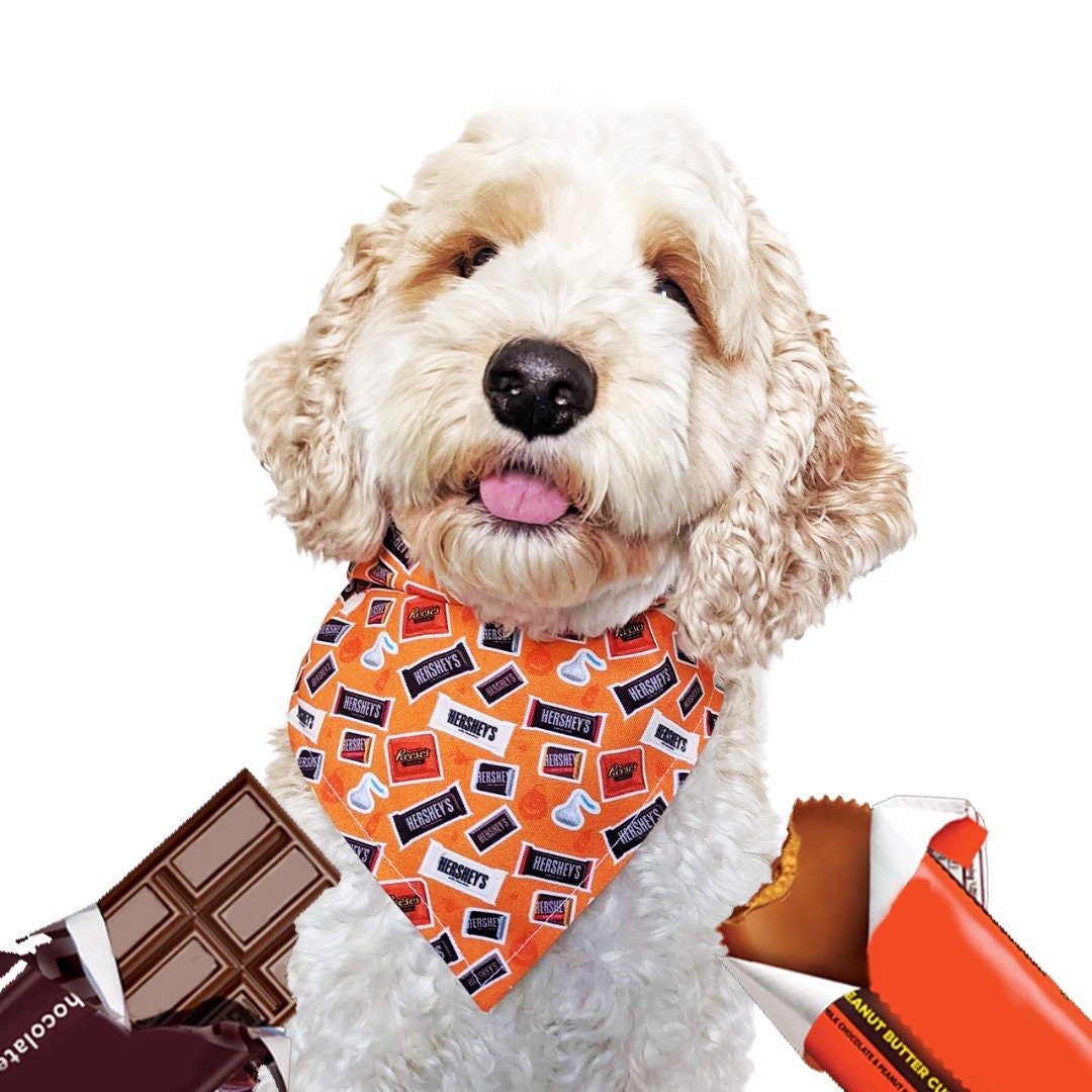 How Bad Is Hershey Chocolate For Dogs