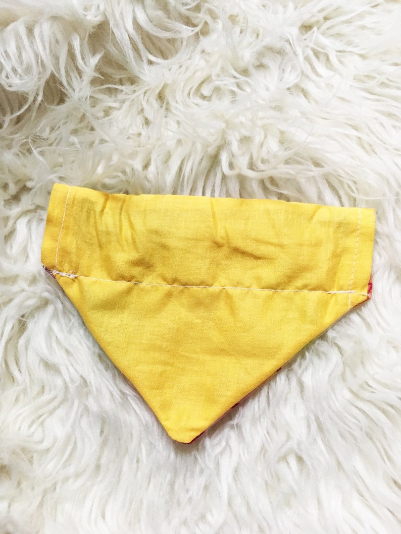 Watercolor Free Peace Bird Dog Collar Bandana