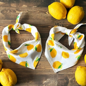 Lemons Tie On Dog Bandana by Cheffy and Co