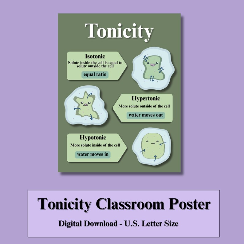 Tonicity Classroom Poster - Learning Tool - Cell Biology - Etsy
