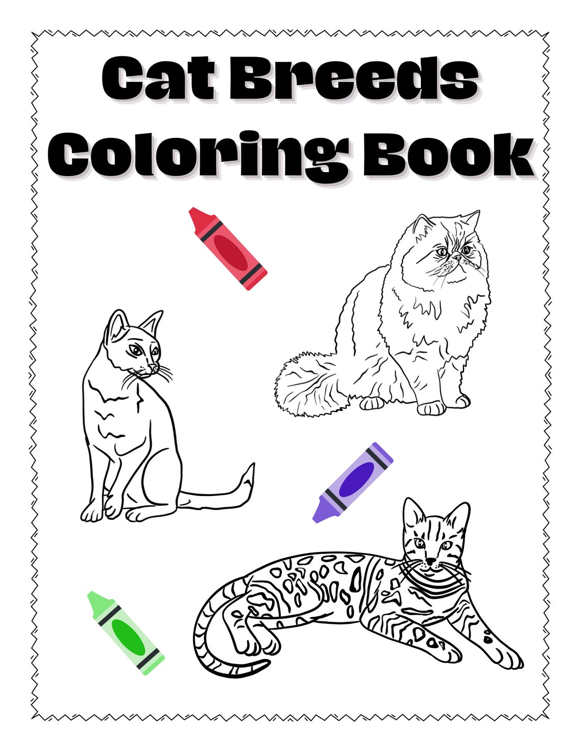 Cat Breed Coloring Pages Coloring Activity Science Learning