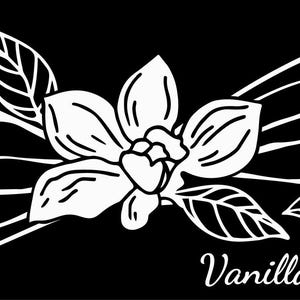 May include: A black and white illustration of a vanilla flower with leaves and stems. The text "Vanilla flower" is written below the flower.