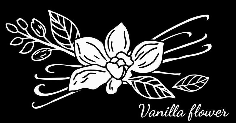 May include: A black and white illustration of a vanilla flower with leaves and stems. The text "Vanilla flower" is written below the flower.