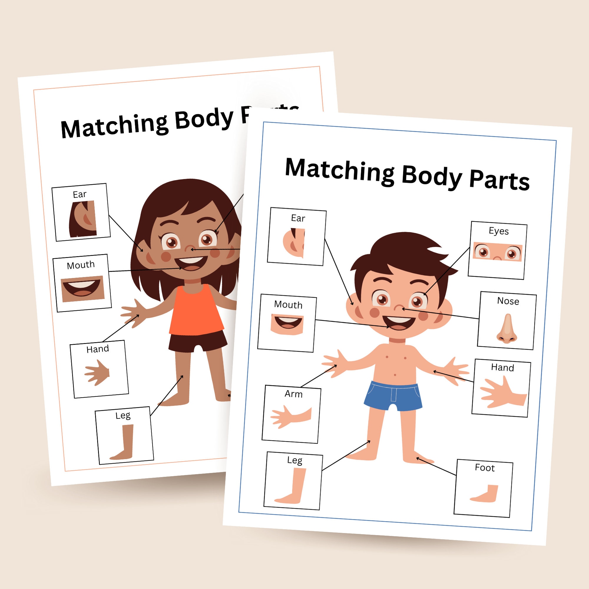 Girl Body Part Anatomy Matching Body Part Game Worksheet Kid Busy Book ...