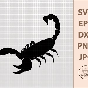 Scorpion SVG, Insect SVG, Scorpion PNG, Animal Svg, Zodiac Svg, Svg Files for Cricut, Horoscope Svg, T Shirt Svg, Cricut Svg, Silhouette Svg