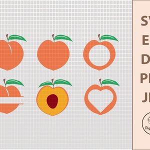 Peach SVG, Fruits SVG, Kitchen SVG, Cricut Svg, Silhouette Svg, Svg Bundle, Peach Clipart, Svg Files For Cricut, Garden Svg, Peach Monogram