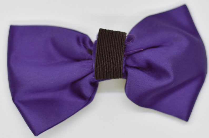 Special Occasion Bowtie image 3