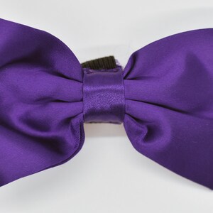 Special Occasion Bowtie image 2