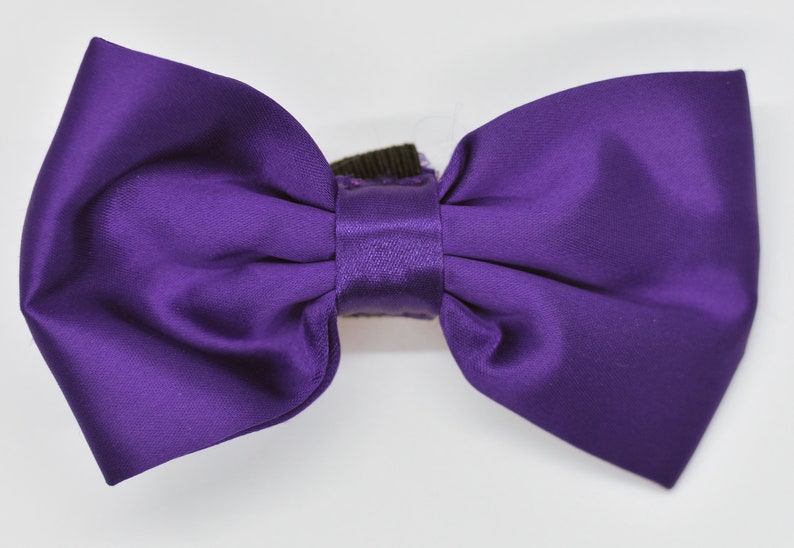 Special Occasion Bowtie image 2