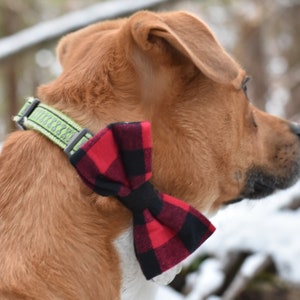 Könnte beinhalten: Ein brauner Hund mit einem grünen Halsband und einer rot-schwarz karierten Fliege. Die Fliege ist aus weichem Stoff gefertigt und um den Hals des Hundes gebunden. Der Hund befindet sich im Freien in einer verschneiten Umgebung.