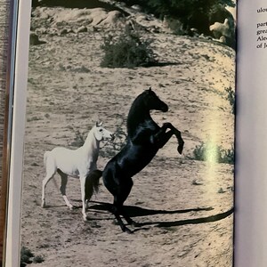 May include: A black horse rears up on its hind legs beside a white horse in a sepia-toned outdoor scene. The horses are on a sandy surface with sparse vegetation in the background. The image is from a book.