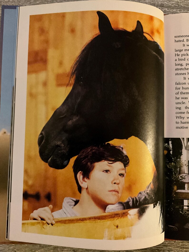 May include: A black horse's head looms over a young person, both positioned behind a wooden fence. The horse's dark coat contrasts with the person's light skin and the warm tones of the wooden structure.
