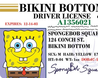 SpongeBob SquarePants Parody Prop Drivers License on a Laminated ID Card 3.4 inches by 2.2 inches.A Gag Gift For Him Or Her.