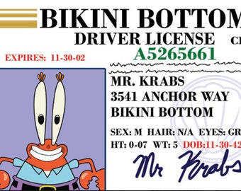 Spongebob License Sticker 