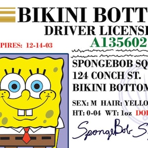 SpongeBob SquarePants Parody Prop Drivers License on a Laminated ID Card 3.4 inches by 2.2 inches.A Gag Gift For Him Or Her.