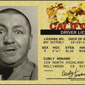 Curly Howard,Three Stooges License on a Laminated ID Card 3.4 inches by 2.2 inches.A Gag Gift For Him Or Her.A Great Stocking Stuffer.