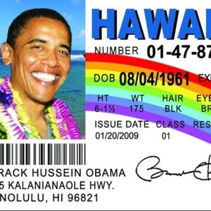 Barack Obama Drivers License on a Laminated ID Card 3.4”x 2.2”.   A Gift For Him Or Her.