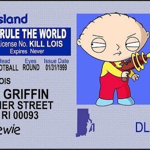 Stewie Griffin, licence de famille sur une carte d'identité plastifiée 3,4 pouces par 2,2 pouces. Un cadeau pour lui ou elle. Un super cadeau de Noël.