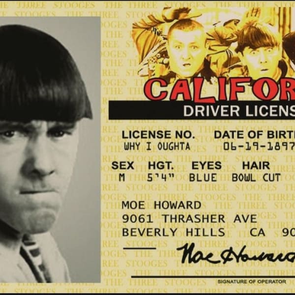 Moe Howard,Three Stooges License on a Laminated ID Card 3.4 inches by 2.2 inches.A Gag Gift For Him Or Her.A Great Stocking Stuffer.