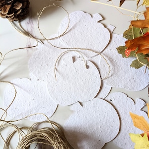 Étiquettes-cadeaux en forme de citrouille à planter, étiquette-cadeau d'anniversaire, étiquettes-cadeaux de fleurs sauvages, étiquettes-cadeaux d'Halloween, étiquettes d'automne