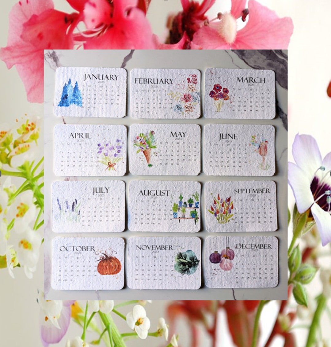 Plantable Calendar 2024, Wild Flower Seeds, Calendar on White Wild