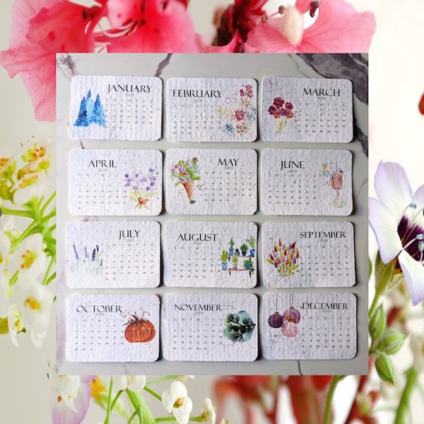 2024 Seed Calendar Etsy