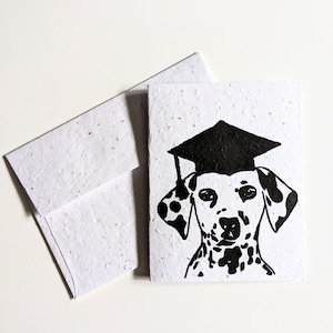 Enveloppe de carte plantable graines de fleurs sauvages, Dalmatien avec chapeau de graduation sur papier de graines blanc, carte de félicitations, carte de graduation, carte de chien