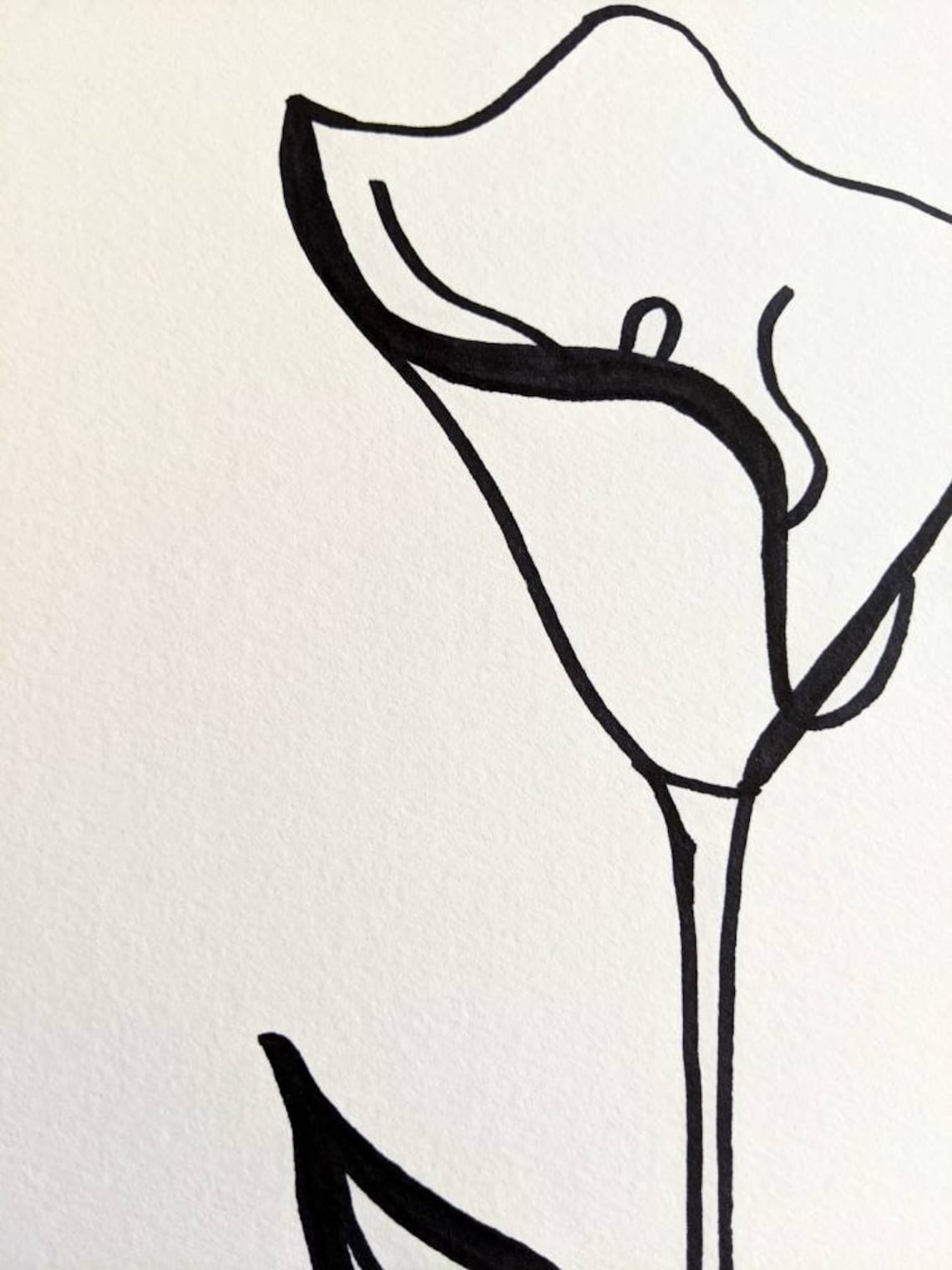 Flower Black Marker Drawing of Flower on Watercolor White Etsy