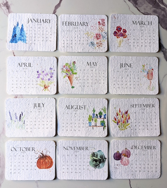 Calendrier à planter ensemencé illustration 2024 graine original cadeau